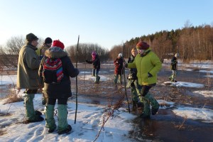 Прогулка по болоту, Междуреченский региональный ландшафтный парк